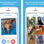 Meet BarkBuddy: Tinder for Dogs