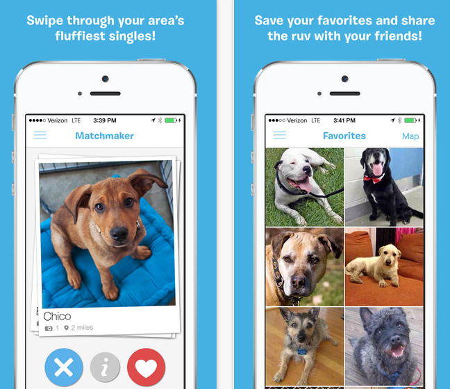 Meet BarkBuddy: Tinder for Dogs