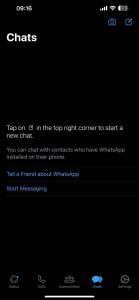WhatsApp Chat Feature on iOS